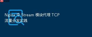 nginx 中 stream 模块代理 tcp 流量分发实践