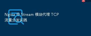 Nginx 中 Stream 模块代理 TCP 流量分发实践