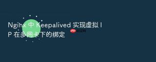 nginx 中 keepalived 实现虚拟 ip 在多网卡下的绑定