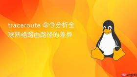 traceroute 命令分析全球网络路由路径的差异