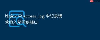 Nginx 中 access_log 中记录请求的入站网络端口
