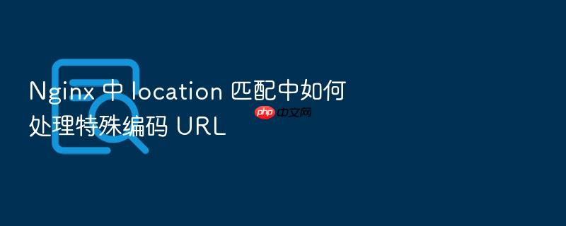 nginx 中 location 匹配中如何处理特殊编码 url