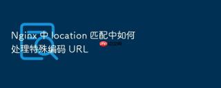 nginx 中 location 匹配中如何处理特殊编码 url