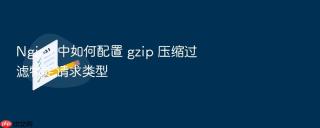 Nginx 中如何配置 gzip 压缩过滤特定请求类型
