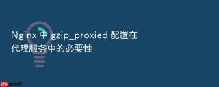 nginx 中 gzip_proxied 配置在代理服务中的必要性