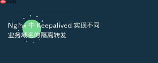 nginx 中 keepalived 实现不同业务域名的隔离转发