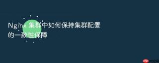 nginx 集群中如何保持集群配置的一致性保障