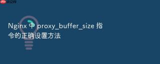 nginx 中 proxy_buffer_size 指令的正确设置方法