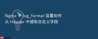 nginx 中 log_format 变量如何从 header 中提取自定义字段