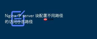 Nginx 中 server 块配置不同路径的访问日志路径