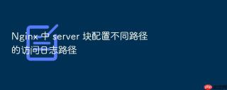 nginx 中 server 块配置不同路径的访问日志路径