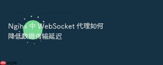 nginx 中 websocket 代理如何降低数据传输延迟