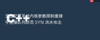 怎么配置系统内核参数限制套接字连接队列防范 SYN 洪水攻击