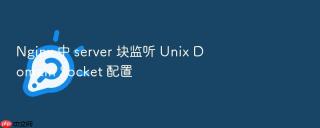 nginx 中 server 块监听 unix domain socket 配置