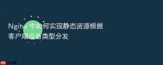 nginx 中如何实现静态资源根据客户端设备类型分发