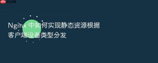 Nginx 中如何实现静态资源根据客户端设备类型分发