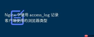 nginx 中使用 access_log 记录客户端使用的浏览器类型