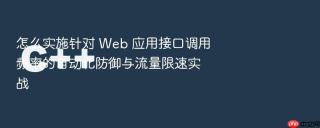 怎么实施针对 web 应用接口调用频率的自动化防御与流量限速实战