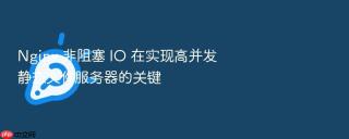 Nginx 非阻塞 IO 在实现高并发静态文件服务器的关键