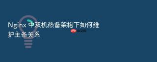 Nginx 中双机热备架构下如何维护主备关系