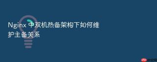 nginx 中双机热备架构下如何维护主备关系