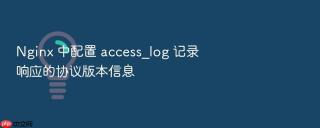 Nginx 中配置 access_log 记录响应的协议版本信息