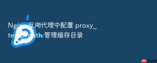nginx 反向代理中配置 proxy_temp_path 管理缓存目录