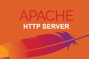 怎么配置 apache 代理以过滤不安全的 http 方法