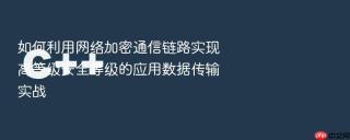 如何利用网络加密通信链路实现高等级安全等级的应用数据传输实战