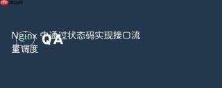 nginx 中通过状态码实现接口流量调度
