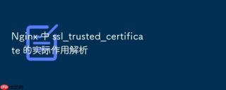 nginx 中 ssl_trusted_certificate 的实际作用解析