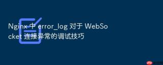 nginx 中 error_log 对于 websocket 连接异常的调试技巧