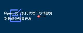 nginx 优化反向代理下后端服务器集群处理高并发
