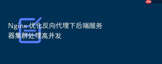 Nginx 优化反向代理下后端服务器集群处理高并发