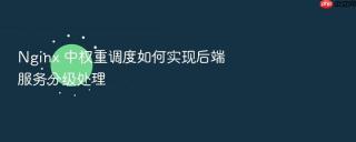 nginx 中权重调度如何实现后端服务分级处理