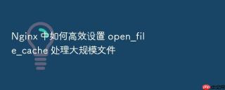 nginx 中如何高效设置 open_file_cache 处理大规模文件