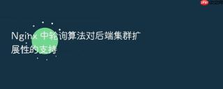 Nginx 中轮询算法对后端集群扩展性的支持