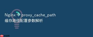 Nginx 中 proxy_cache_path 缓存路径配置参数解析