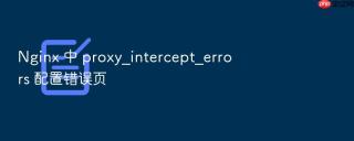 nginx 中 proxy_intercept_errors 配置错误页