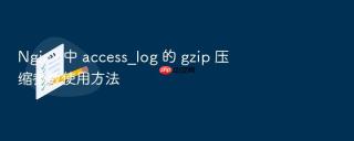 nginx 中 access_log 的 gzip 压缩参数使用方法