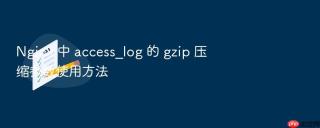 Nginx 中 access_log 的 gzip 压缩参数使用方法