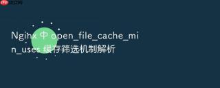 Nginx 中 open_file_cache_min_uses 缓存筛选机制解析
