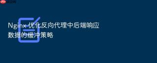 nginx 优化反向代理中后端响应数据的缓冲策略