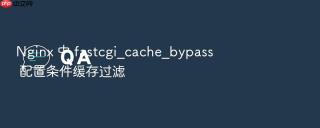 nginx 中 fastcgi_cache_bypass 配置条件缓存过滤
