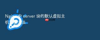 nginx 中 server 块的默认虚拟主机设置方法