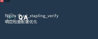 nginx 中 ssl_stapling_verify 响应检查配置优化