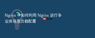 Nginx 中如何利用 Nginx 进行多业务场景负载配置
