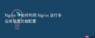 nginx 中如何利用 nginx 进行多业务场景负载配置