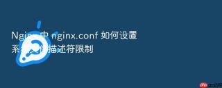 Nginx 中 nginx.conf 如何设置系统文件描述符限制