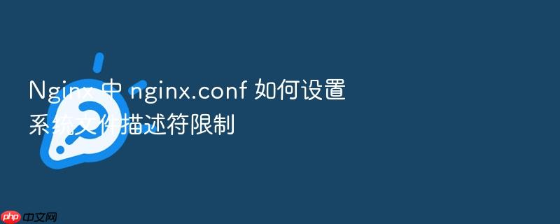nginx 中 nginx.conf 如何设置系统文件描述符限制